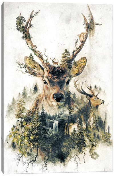 Surreal Deer Canvas Art Print - Barrett Biggers