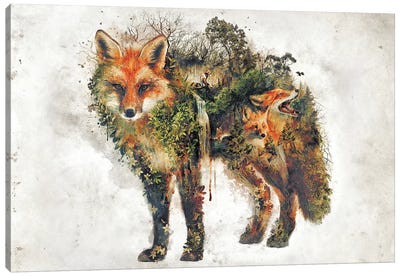 Surreal Fox Canvas Art Print - Barrett Biggers