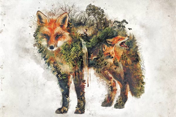 Foxes: Surreal Fox by Barrett Biggers
