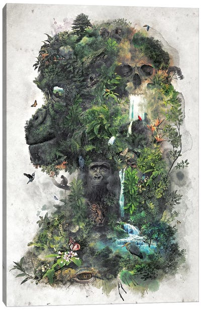 Surreal Gorilla Canvas Art Print - Gorilla Art
