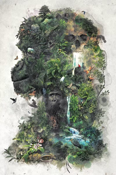 Gorillas: Surreal Gorilla by Barrett Biggers