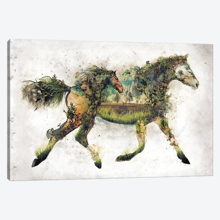 Surreal Horse Canvas Print #BBI94} by Barrett Biggers Canvas Print