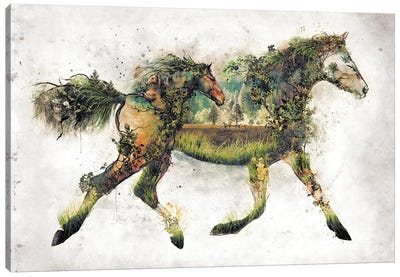 Surreal Horse Canvas Art Print