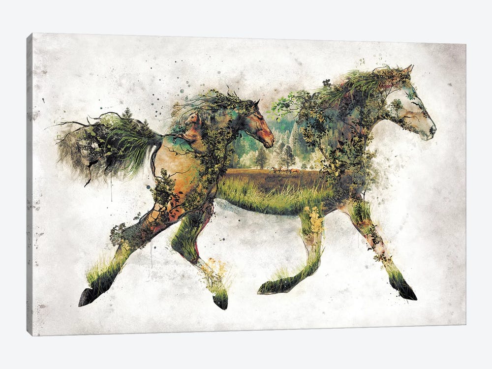 Surreal Horse by Barrett Biggers 1-piece Canvas Print