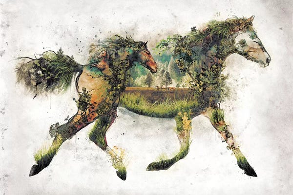 Barrett Biggers: Surreal Horse by Barrett Biggers
