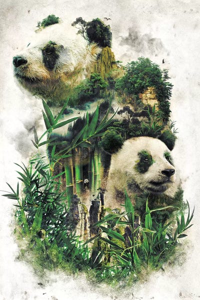 Surreal Panda by Barrett Biggers art print