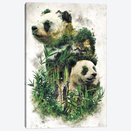 Surreal Panda Canvas Print #BBI95} by Barrett Biggers Canvas Print
