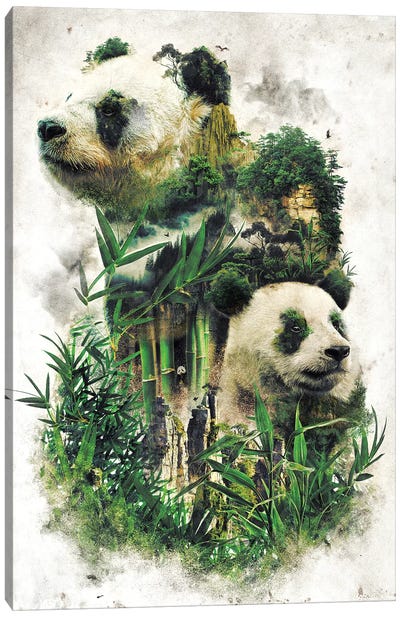 Surreal Panda Canvas Art Print - Barrett Biggers
