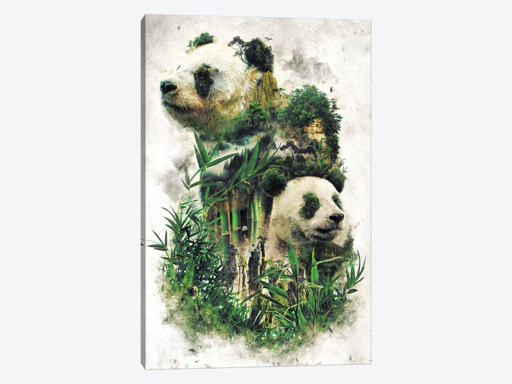 Surreal Panda by Barrett Biggers 1-piece Canvas Artwork