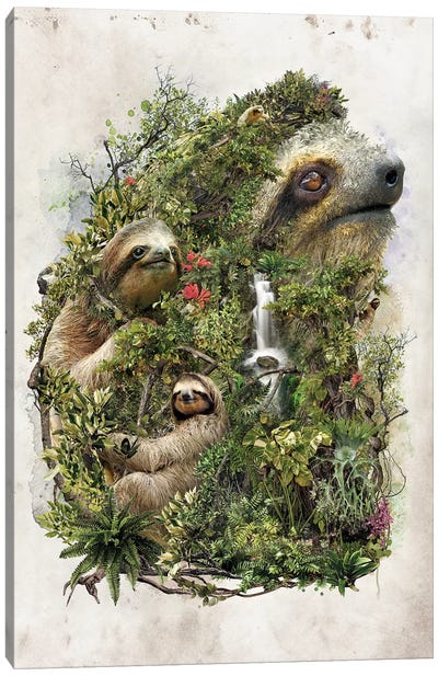 Surreal Sloth Canvas Art Print - Barrett Biggers