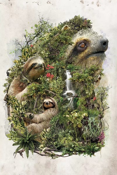 Sloths: Surreal Sloth by Barrett Biggers