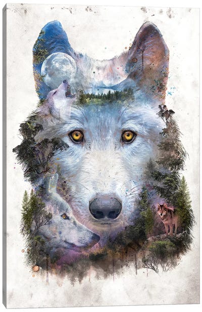 Surreal Wolf Canvas Art Print - Barrett Biggers
