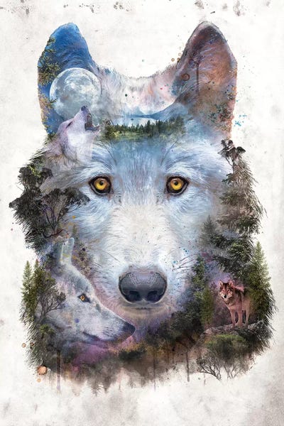 Barrett Biggers: Surreal Wolf by Barrett Biggers