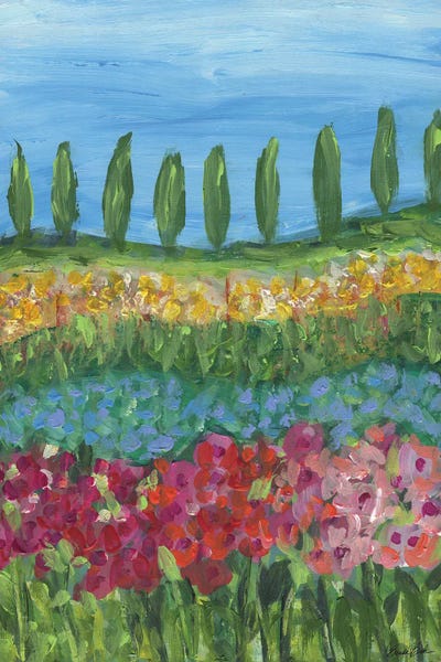 Cypress Trees: Tuscany Days by Brenda Bush