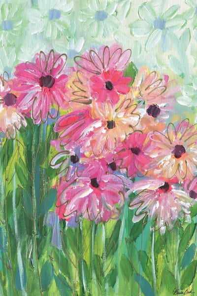Daisies: Every Things Coming Up Daisies by Brenda Bush