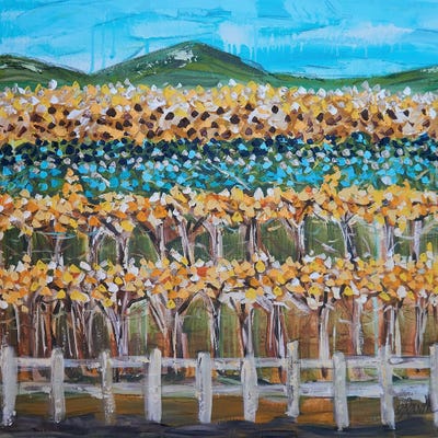 Wine Country In February by Brenda Bush canvas print