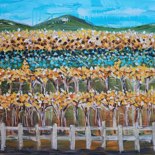 Vineyards: Wine Country In February by Brenda Bush