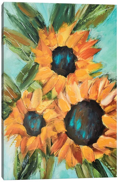 Sunflower Trio Canvas Art Print - Brenda Bush
