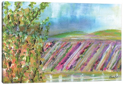 Terrace View After The Rain Canvas Art Print - Lavender Art