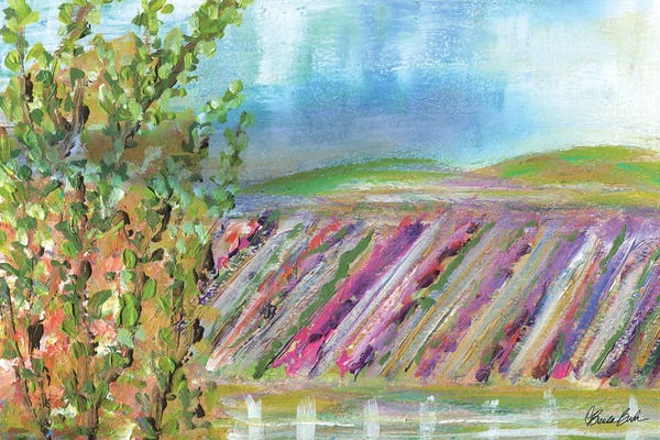 Herbs: Terrace View After The Rain by Brenda Bush