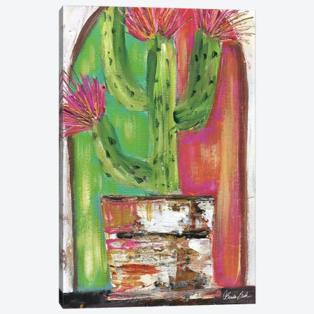 Pueblo Cactus Canvas Print #BBN253} by Brenda Bush Canvas Artwork
