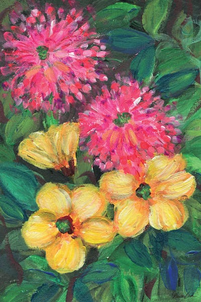 Flowers Of Vidanta by Brenda Bush framed canvas print