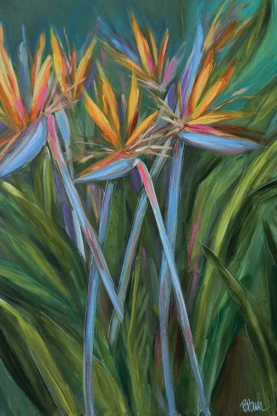 Birds Of Paradise: Paradise In The Garden by Brenda Bush