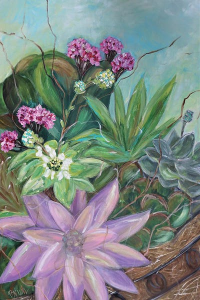 Succulent Basket by Brenda Bush framed canvas print