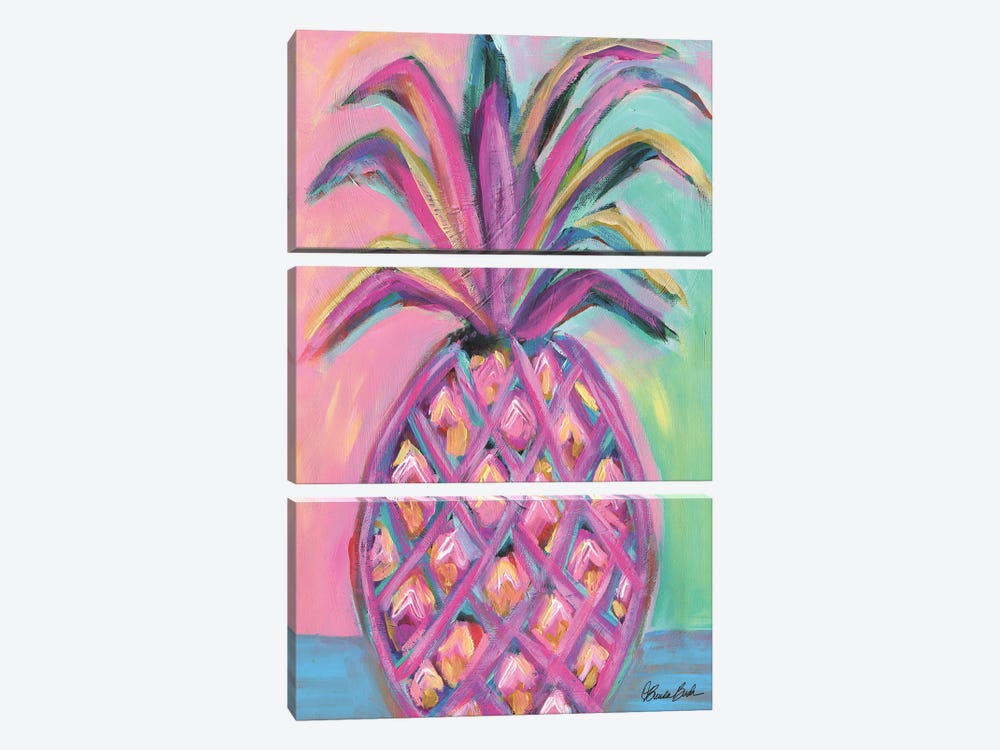 Flamingo Pink Pineapple by Brenda Bush 3-piece Canvas Print
