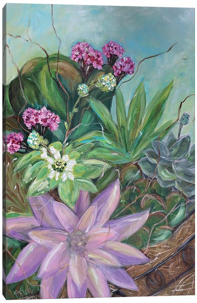 Succulent Basket Canvas Art Print - Brenda Bush