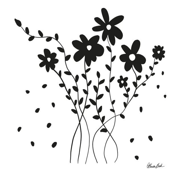 Black & White Florals: Garden Of Daisies by Brenda Bush