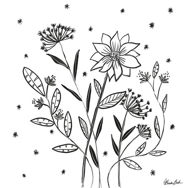 Black & White Florals: Healing Garden by Brenda Bush