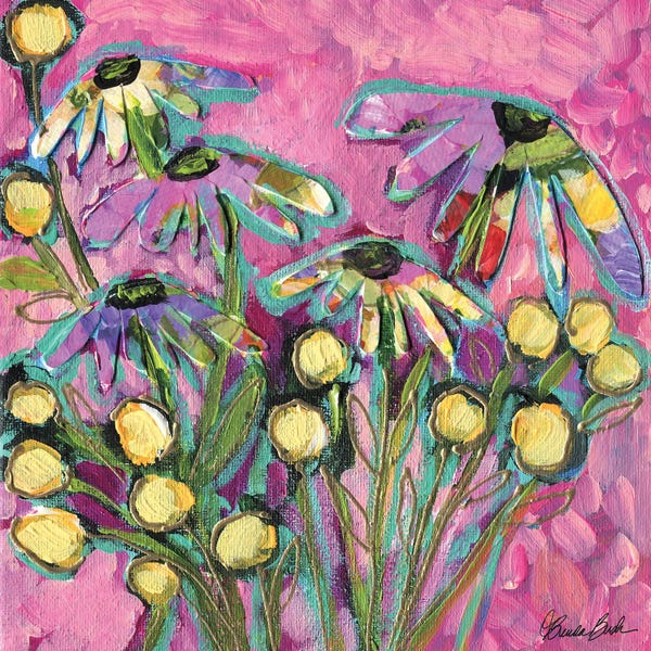 Daisies: Pink Sky Reflections by Brenda Bush