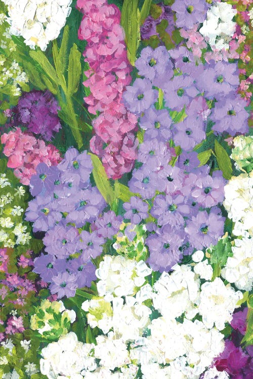 Sweet Blooms