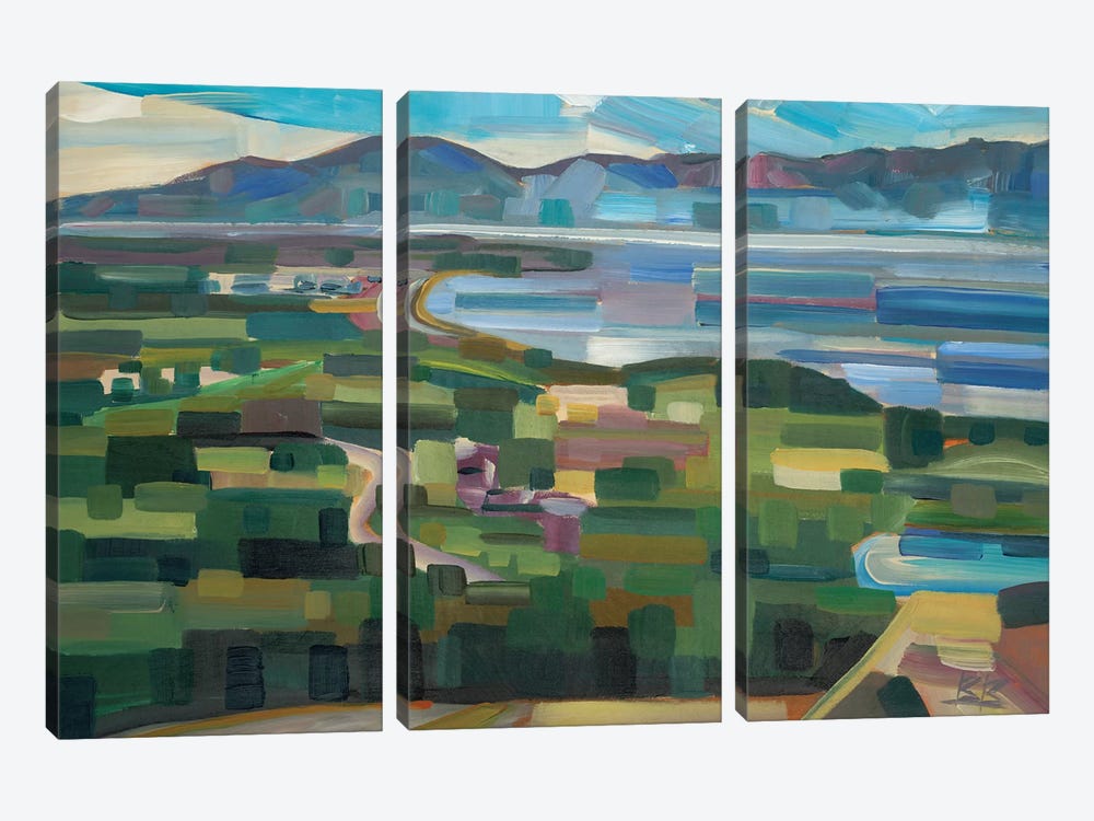 View From Goose Park by Brooke Borcherding 3-piece Canvas Art Print