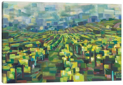 Yellow Grapevines Forever Canvas Art Print - Vineyard Art