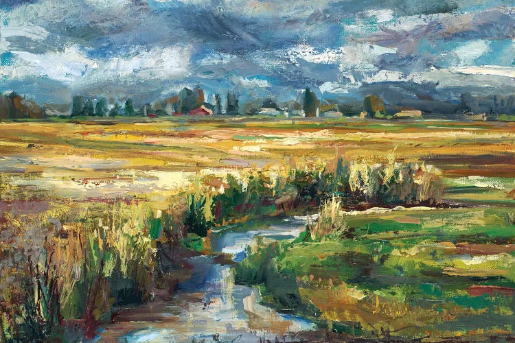 Skagit Creek  by Brooke Borcherding wall art