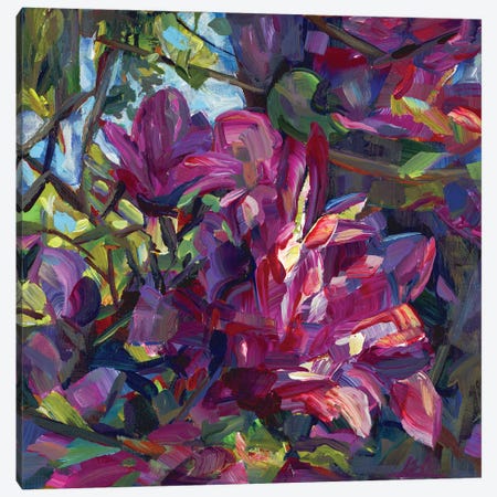 Pink Magnolia Canvas Print #BBO79} by Brooke Borcherding Canvas Art