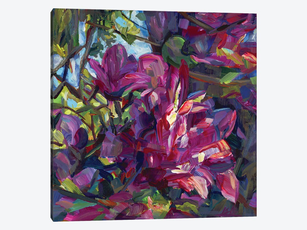 Pink Magnolia by Brooke Borcherding 1-piece Canvas Artwork