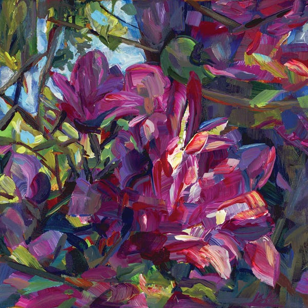 Magnolias: Pink Magnolia by Brooke Borcherding