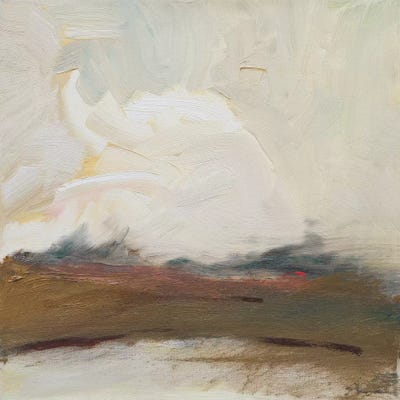 Clouds of Fish by Bradford Brenner acrylic art print