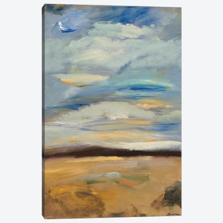 Cloudscape II Canvas Print #BBR27} by Bradford Brenner Art Print