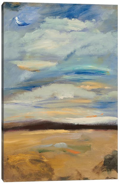 Cloudscape II Canvas Art Print