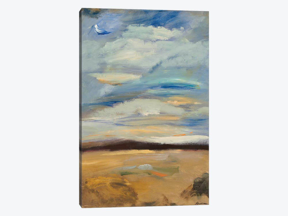 Cloudscape II by Bradford Brenner 1-piece Canvas Art Print