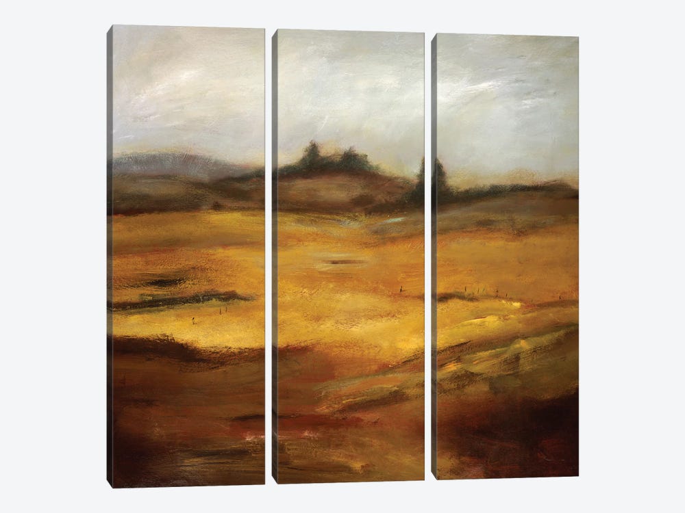 Quieter Than Anything by Bradford Brenner 3-piece Canvas Print