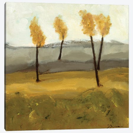 Autumn Tree IV Canvas Print #BBR75} by Bradford Brenner Canvas Art