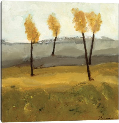 Autumn Tree IV Canvas Art Print