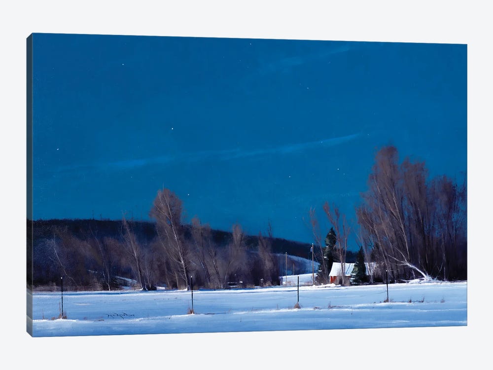 Buffalo County WI Night Lights by Ben Bauer 1-piece Canvas Artwork