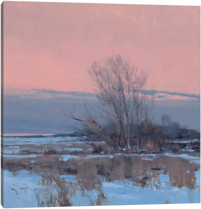 Day Break Near Menomonie Canvas Art Print - Rustic Winter