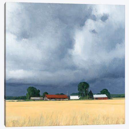 Door County Wheat And Weather Canvas Print #BBU12} by Ben Bauer Canvas Wall Art